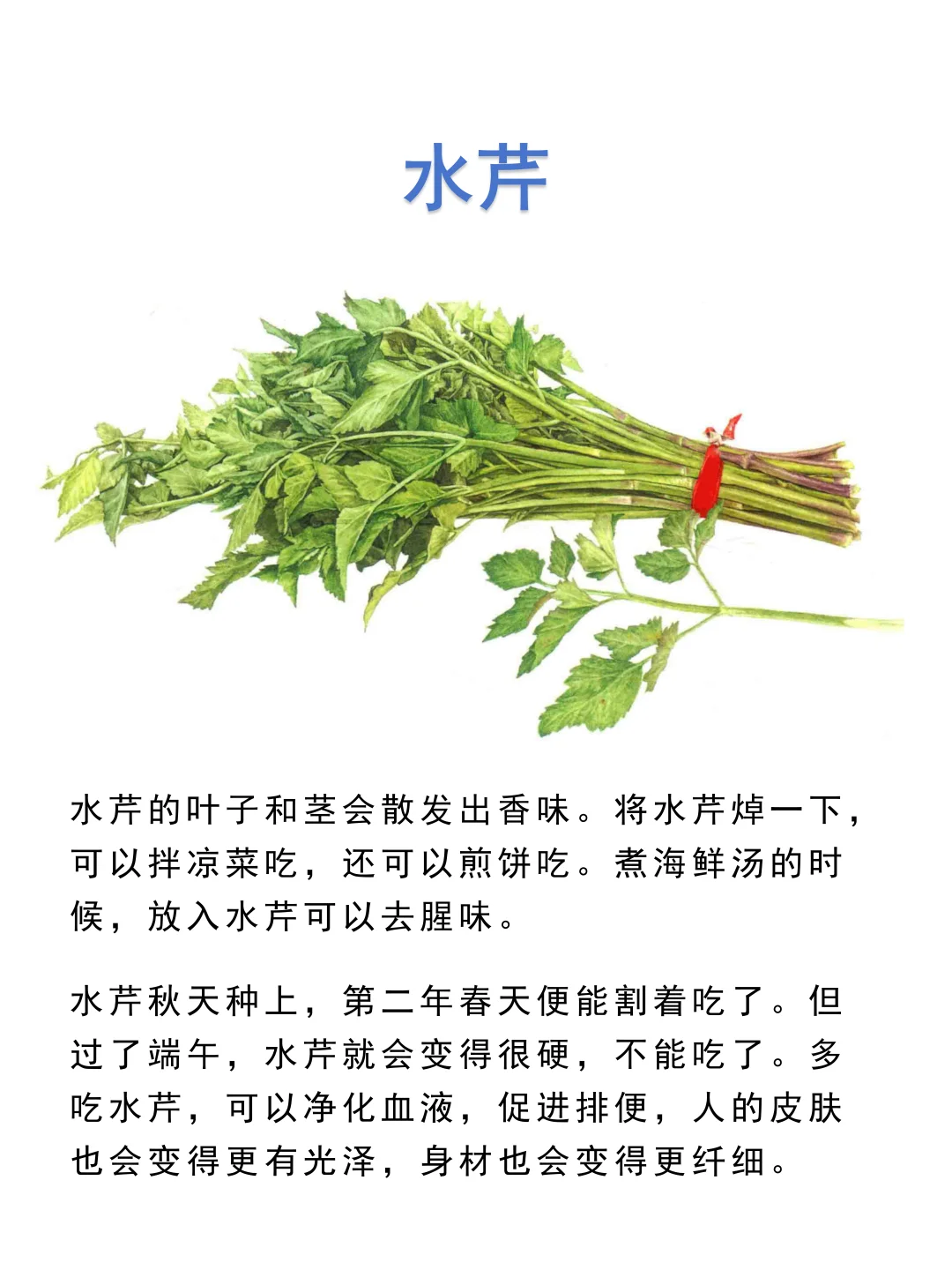食用叶和茎的蔬菜