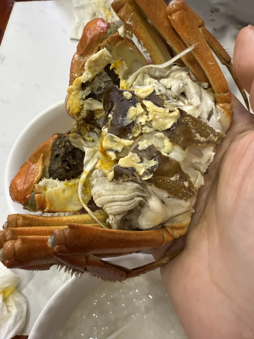 11月在苏州勇闯菜市场吃大闸蟹