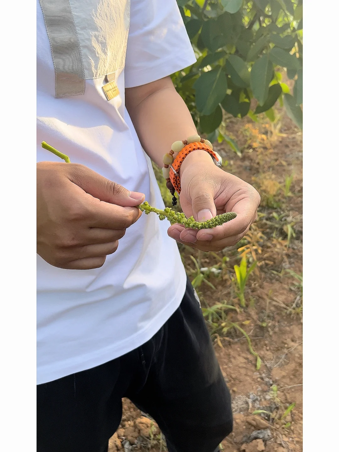 一个好产品关键步骤