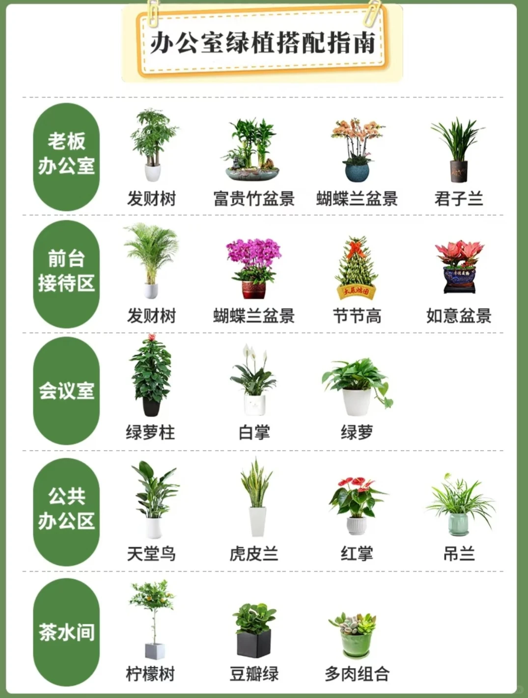北京全区域专业绿植养护，绿植租摆