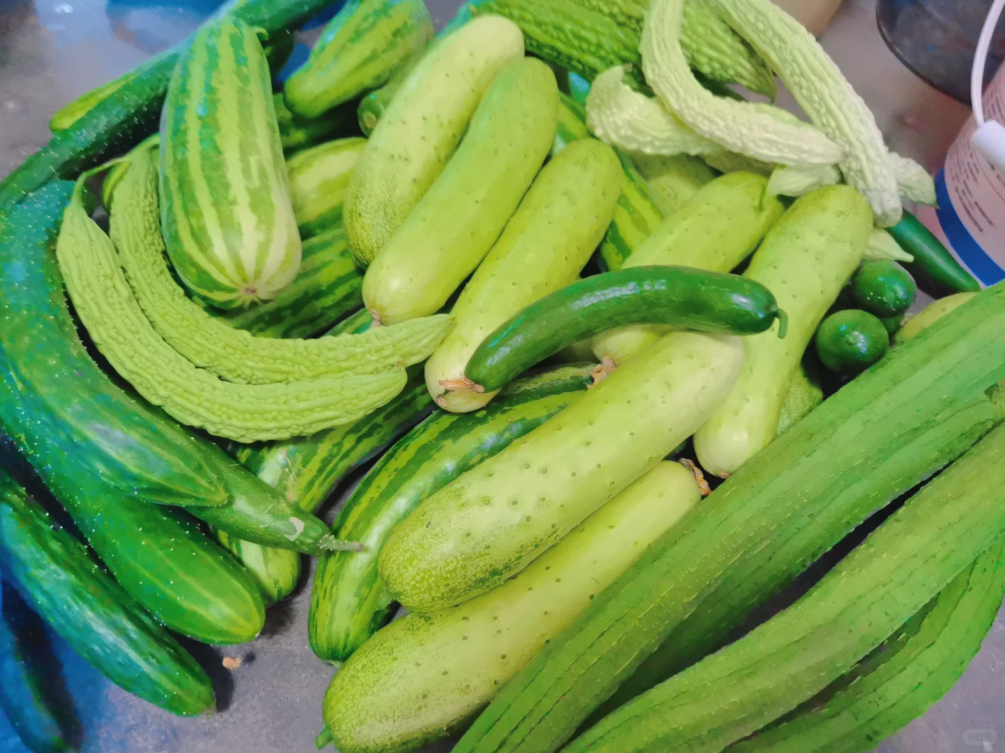 蔬菜品种合集???????