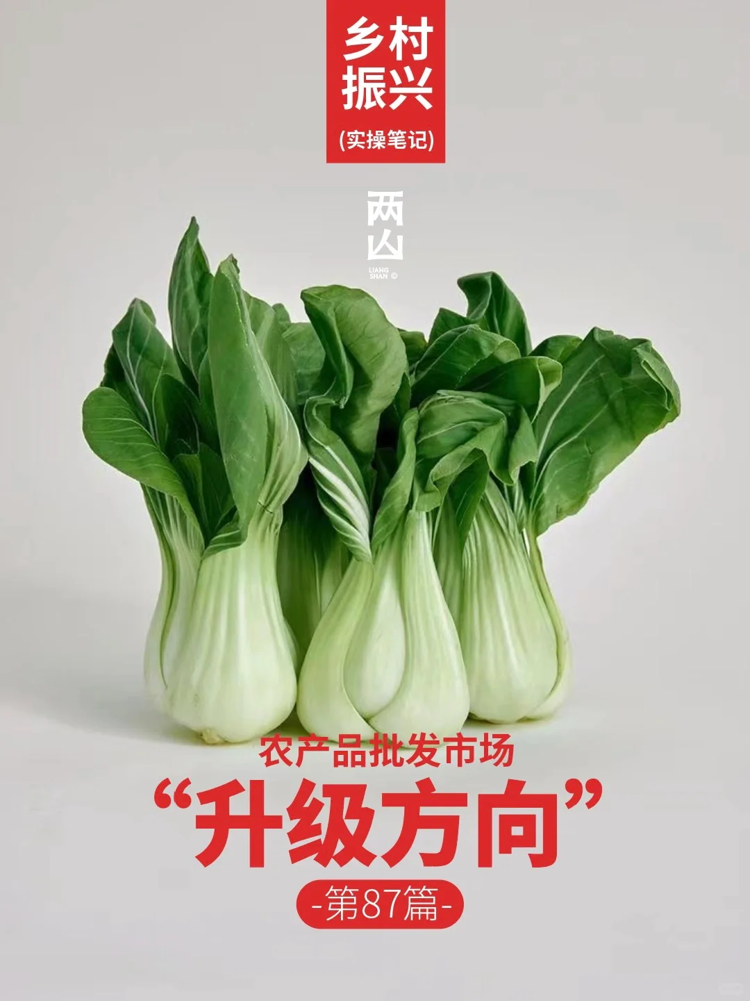 农产品批发市场的升级方向。