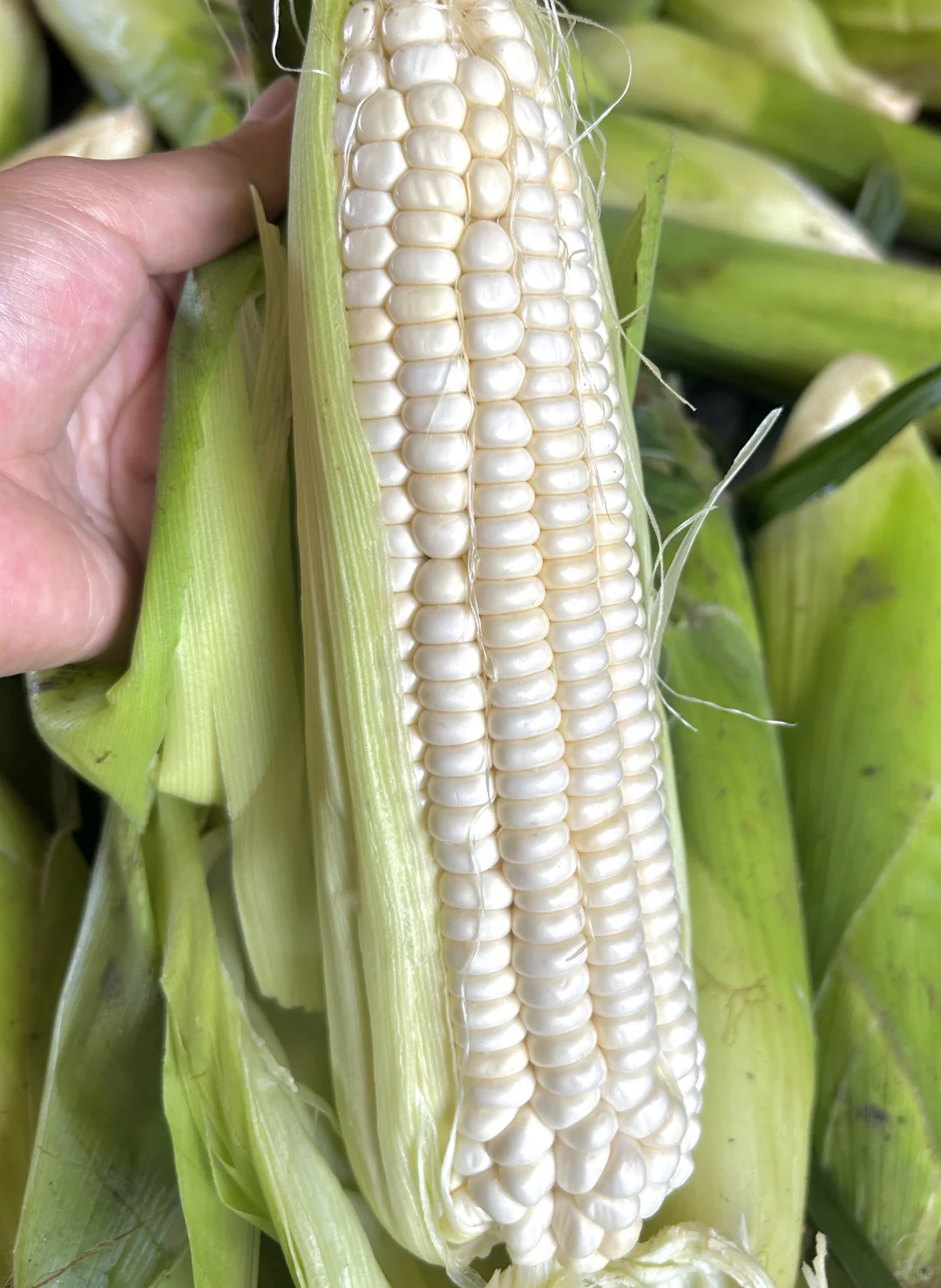 每天10元，给娃吃带泥土味的纯绿色蔬菜