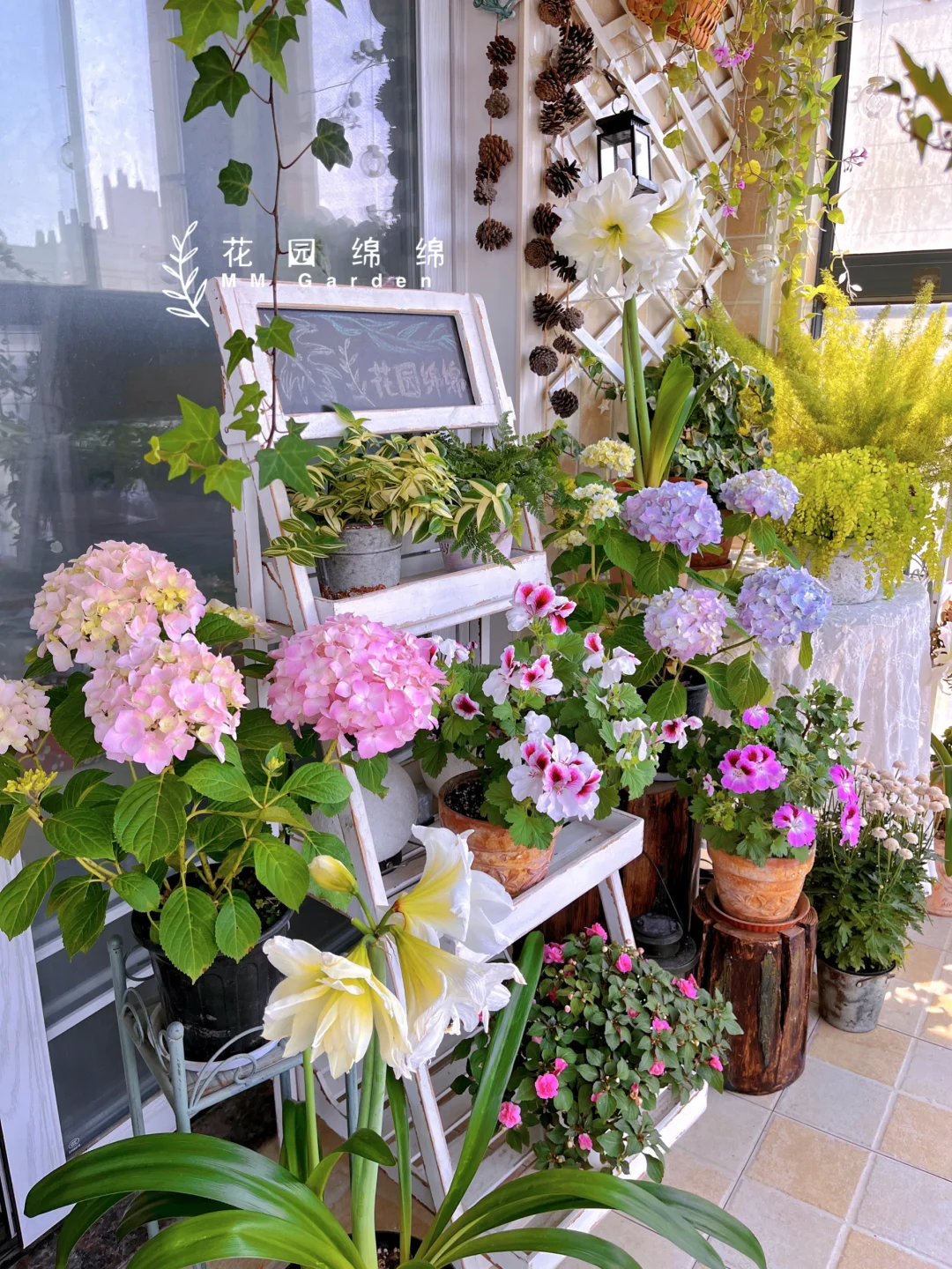 养花不晒花，等于白养花～?‍♀️??‍??