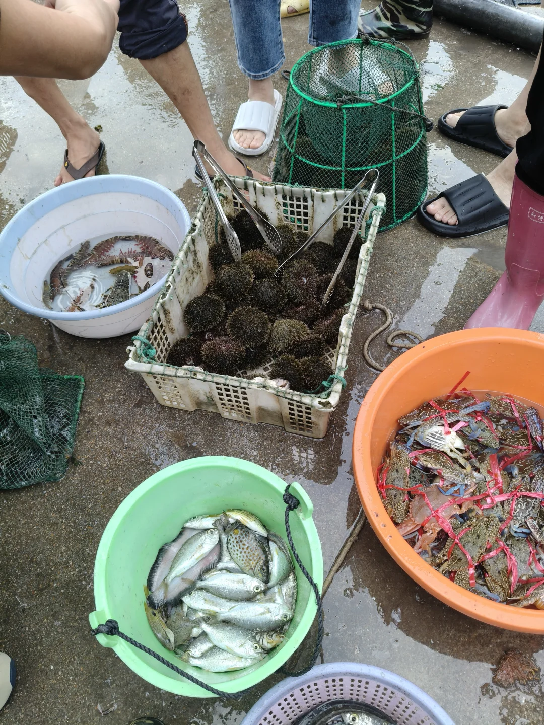 陵水本地人带路！免费代购海鲜+家庭式加工