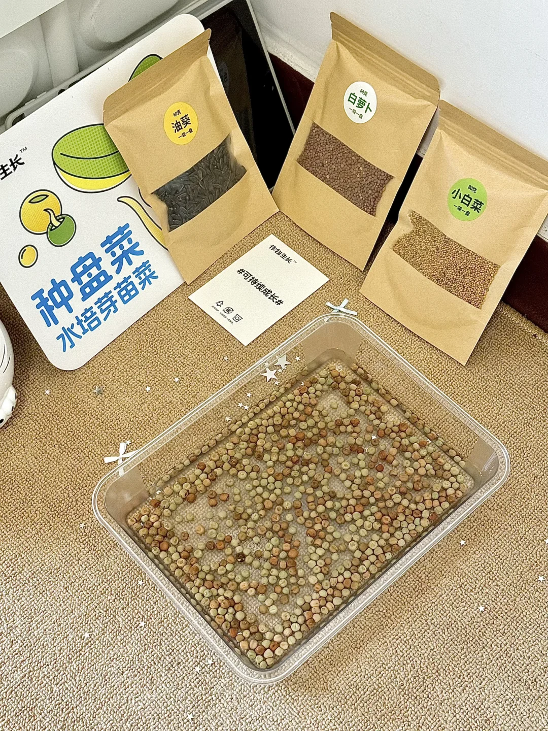 种菜的治愈时刻