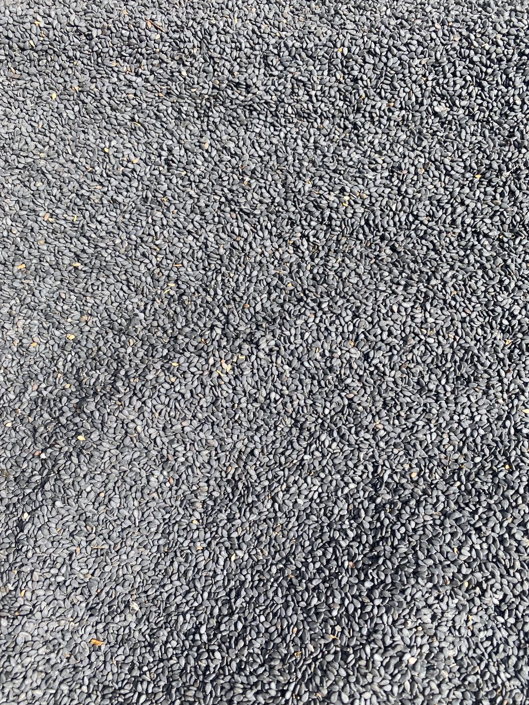 花椒地里长出的黑芝麻！丑丑的但超香✨