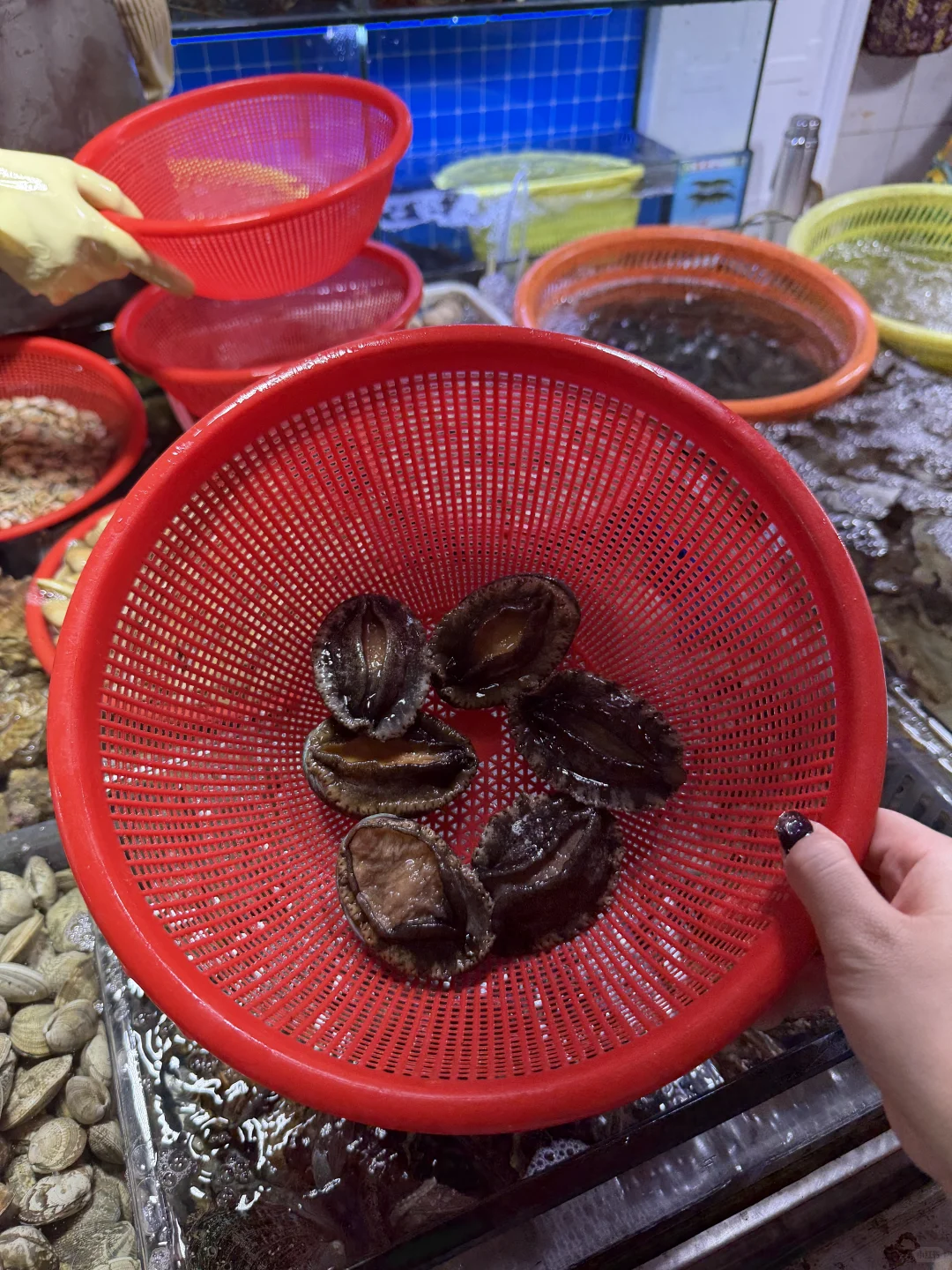 ?来三亚海鲜市场吃海鲜大餐噜～