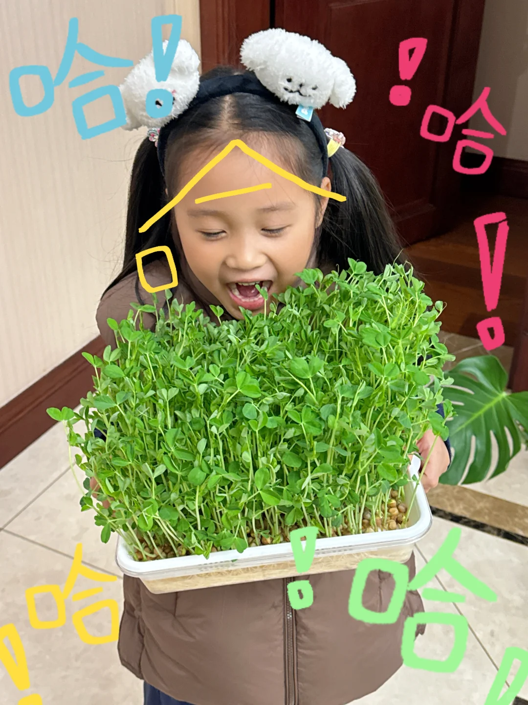 速报❗️刻在DNA里的种菜基因已经觉醒了?