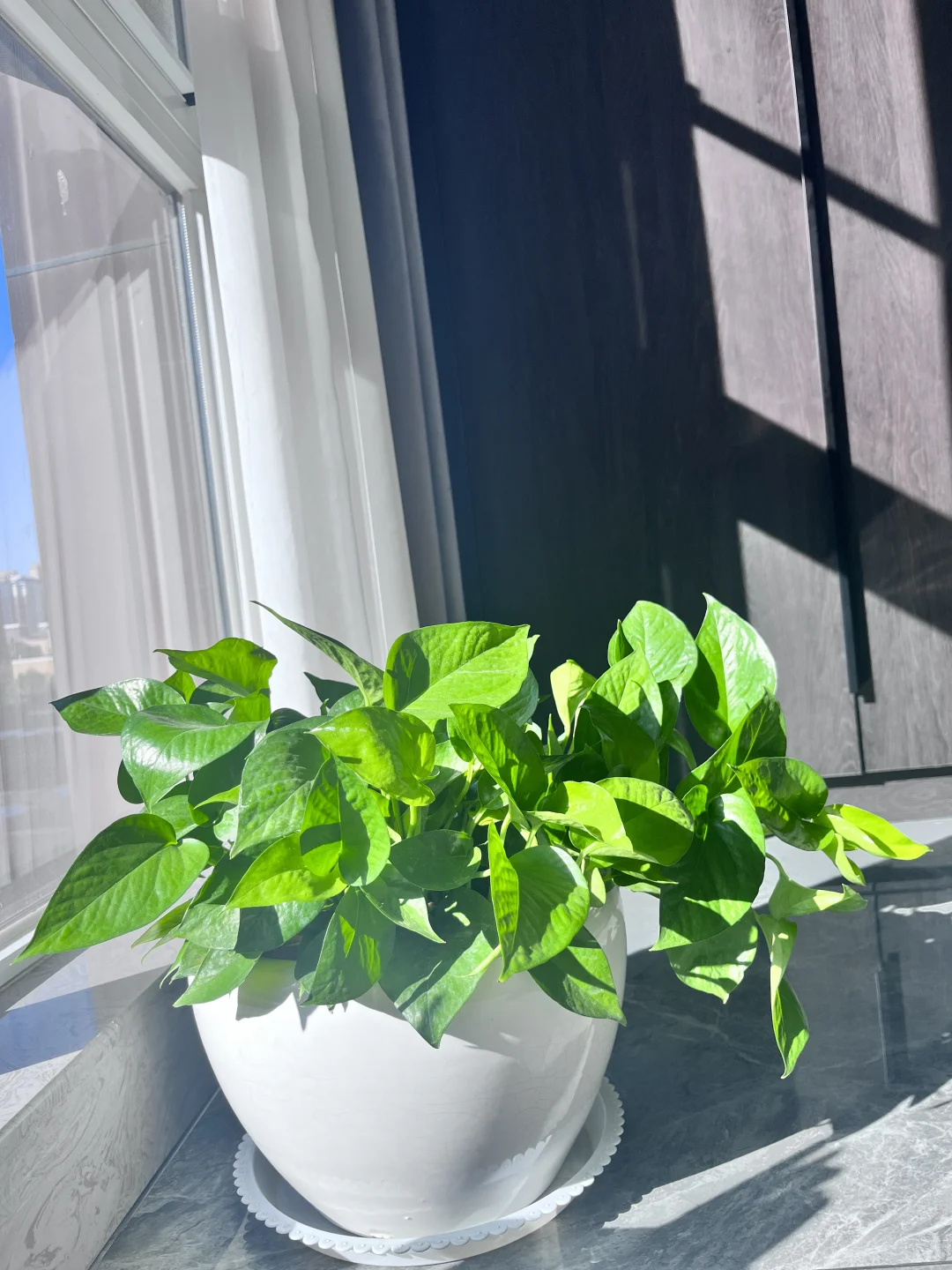 这❗️冬日暖阳???