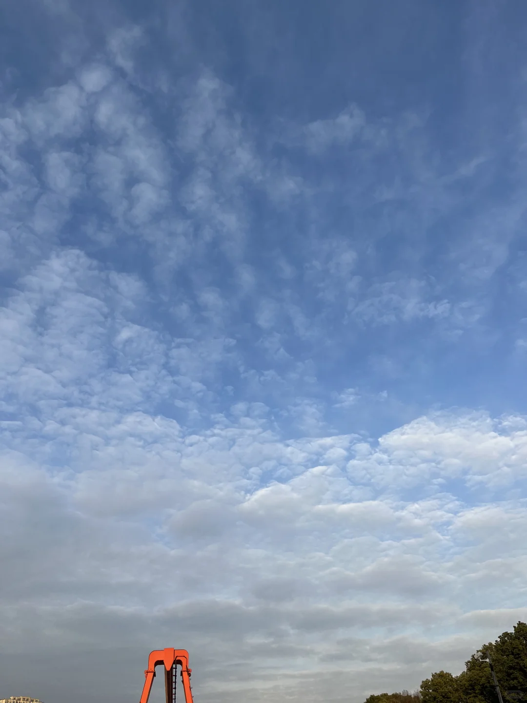 00后毕业女大钢材生卖钢第432天?