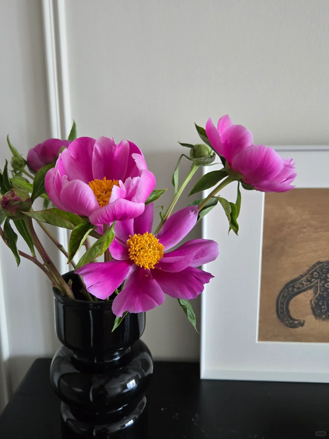 花花girl，太美了吧！