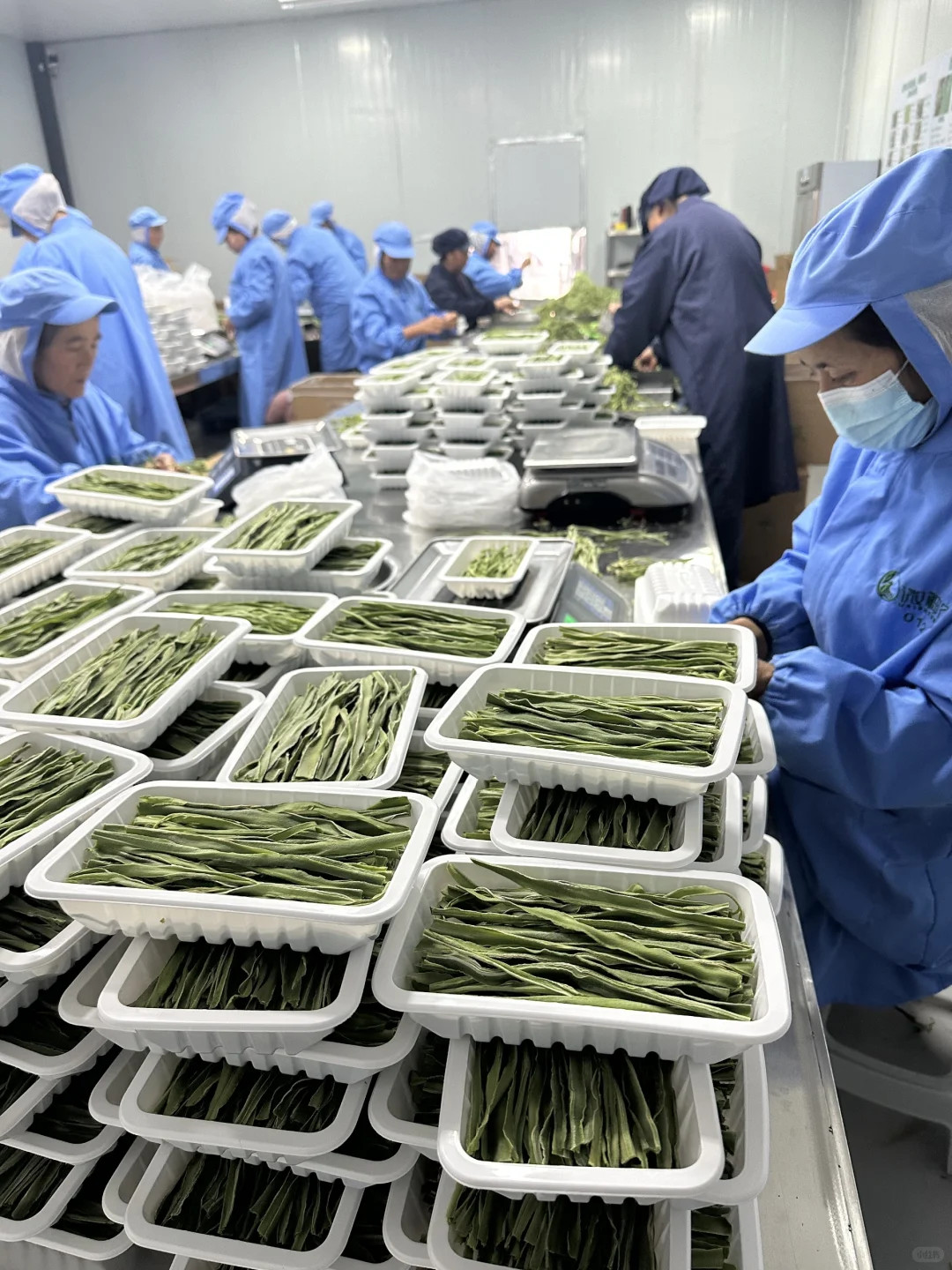 标准化生产铸就品质—探访微神农贡菜干车间