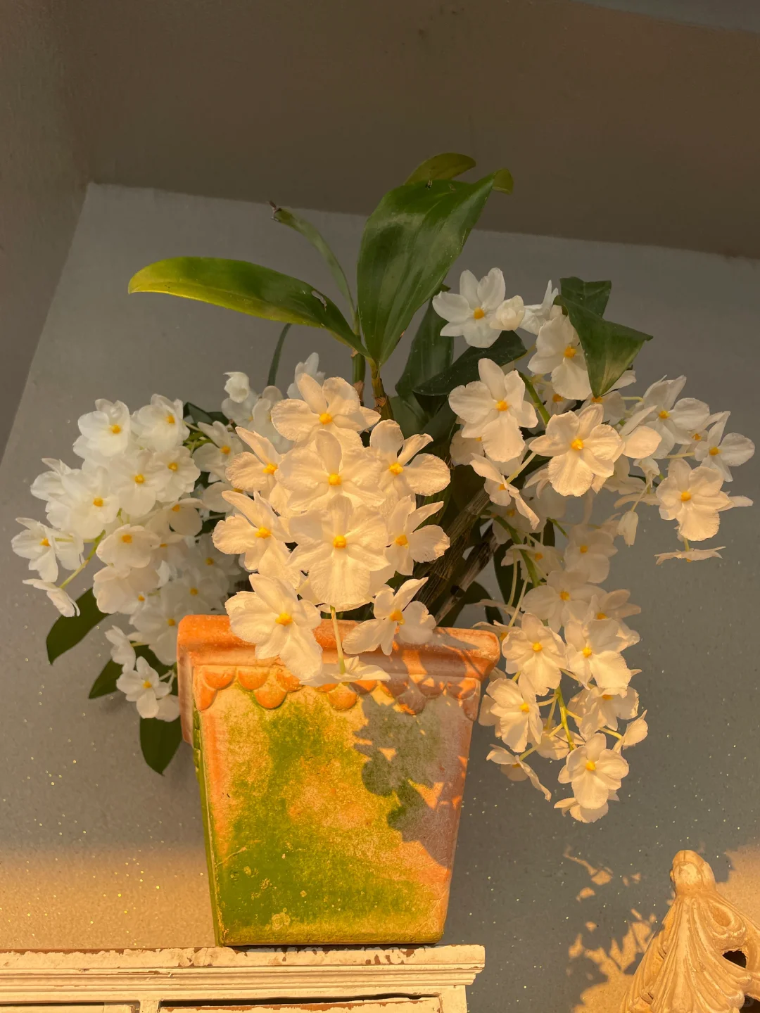 我的兰花（二）