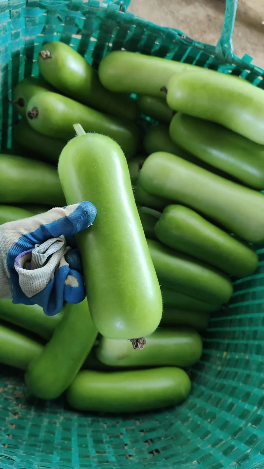 必看！适合一个人不折腾的副业