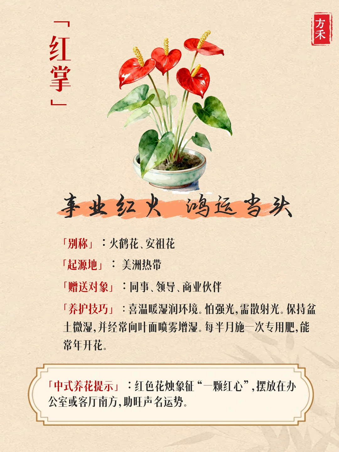 9种花卉藏玄机? 家宅兴旺好运来