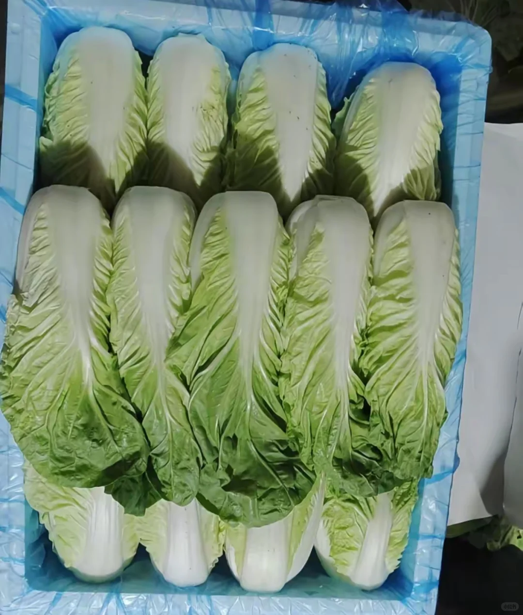 合肥10月1号国庆节蔬菜批发价格