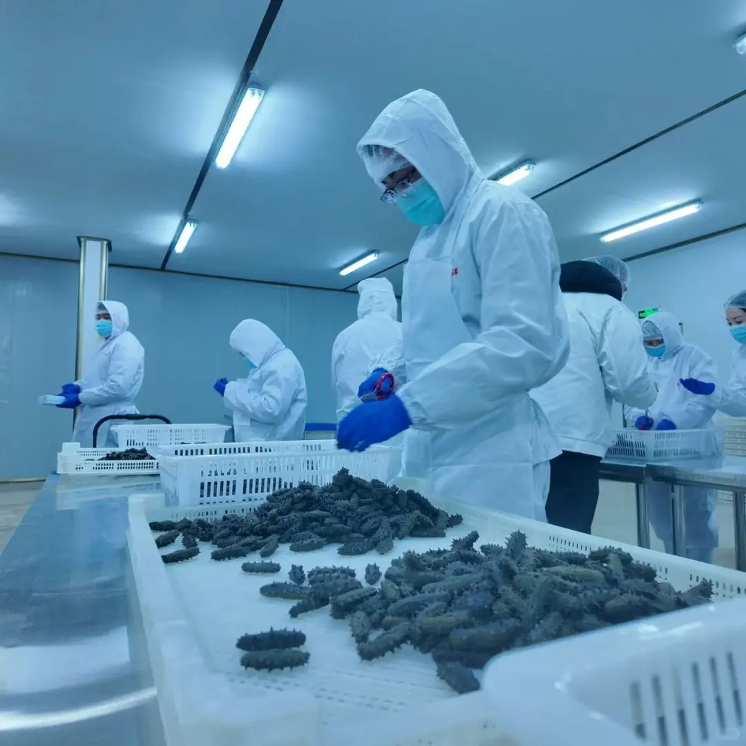 ??源头工厂 贴牌代工 电商代发 批发