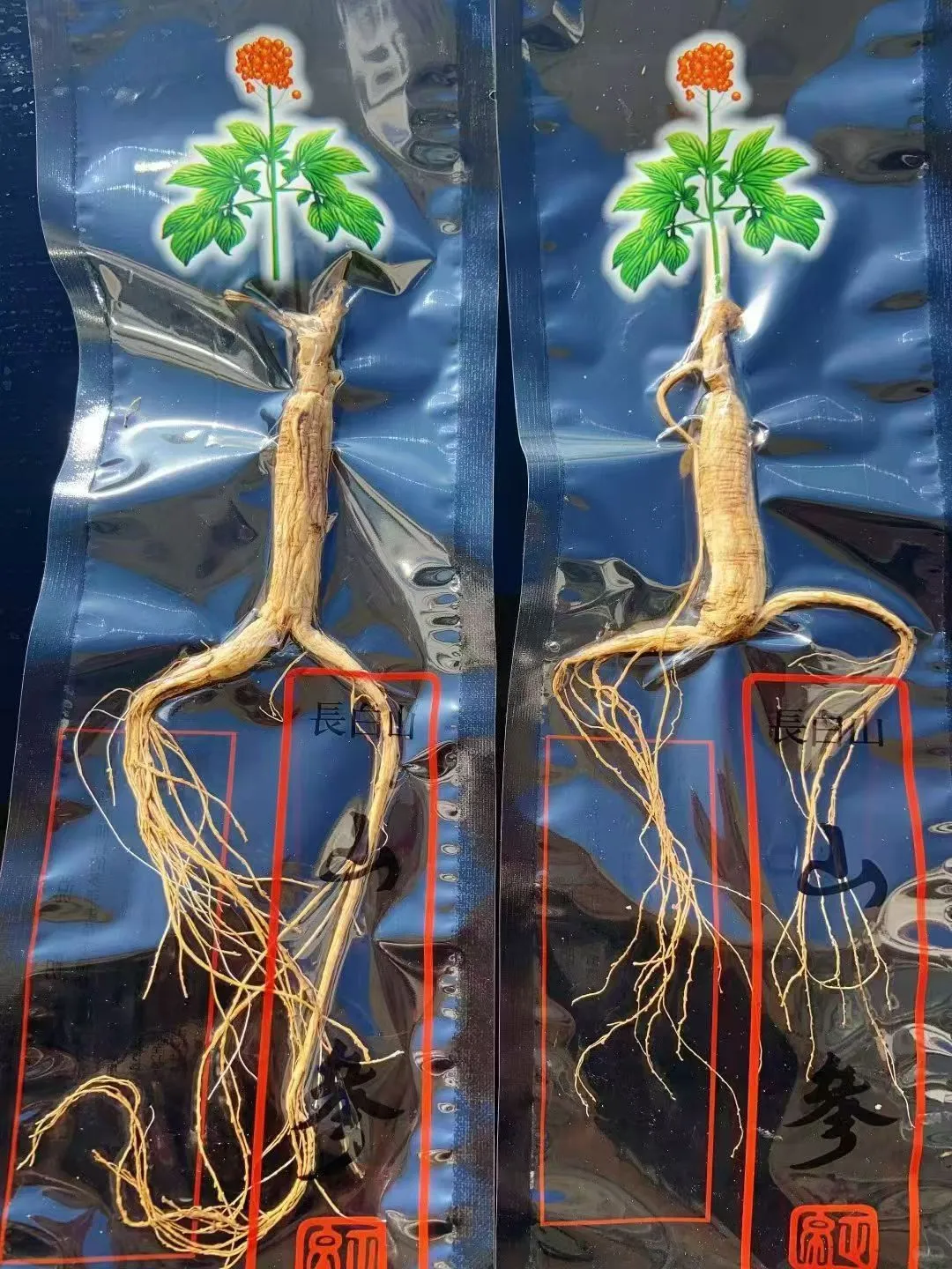 10年林下参20元一根