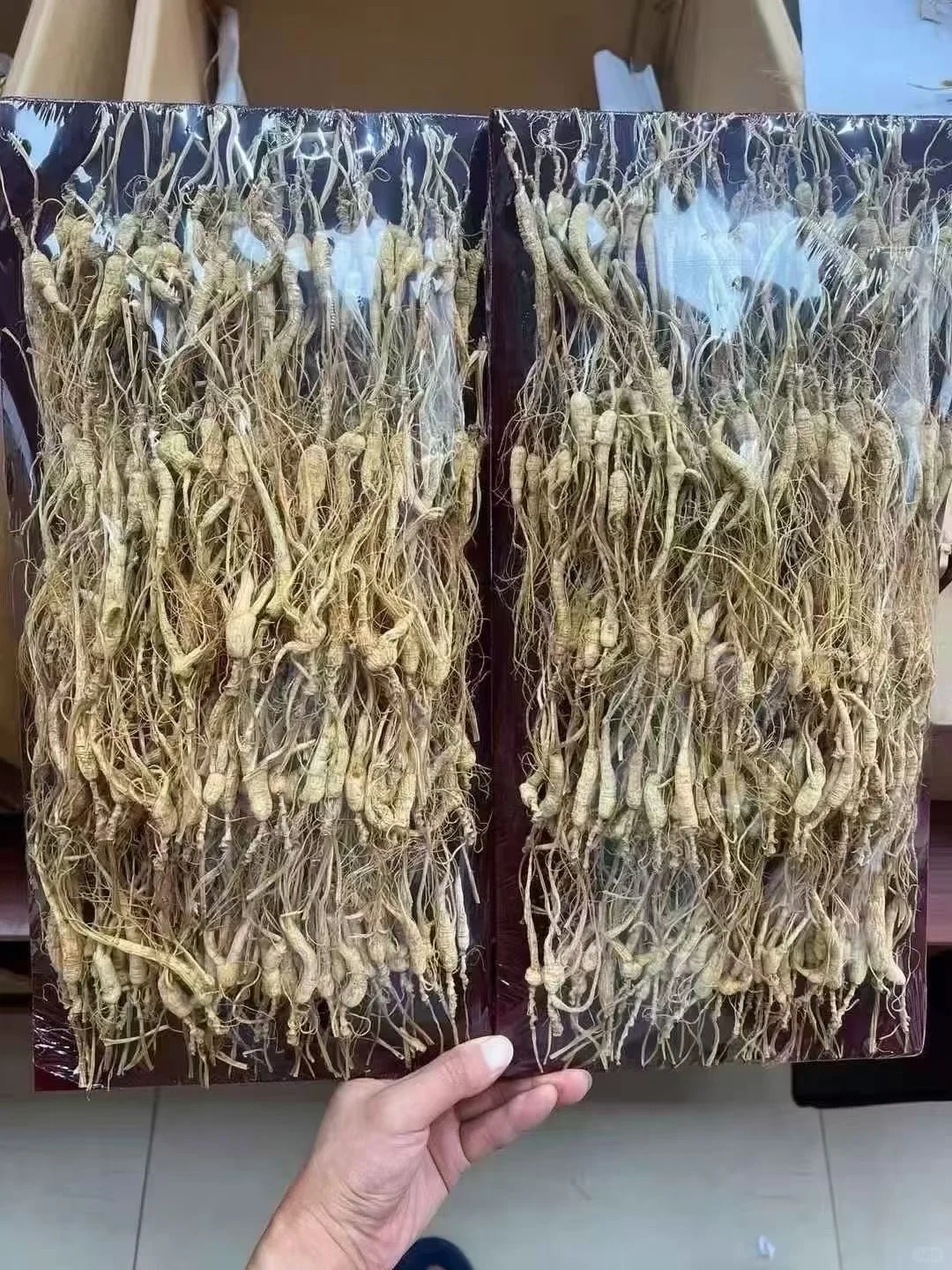 林下参小货，煲汤、泡茶款