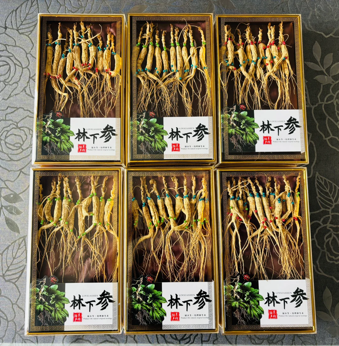 自家种植十年林下籽参带芽孢烘干成品