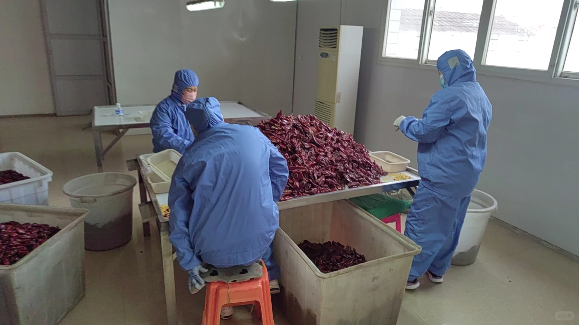 论出口辣椒厂二代如何把自家辣椒内销出去