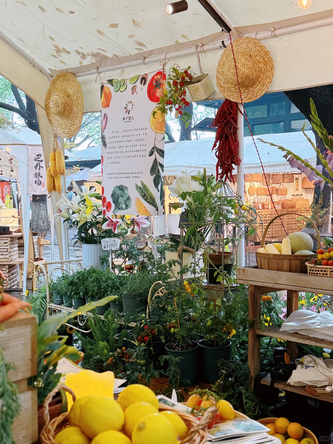 快来找我们玩?苏州本色美术馆