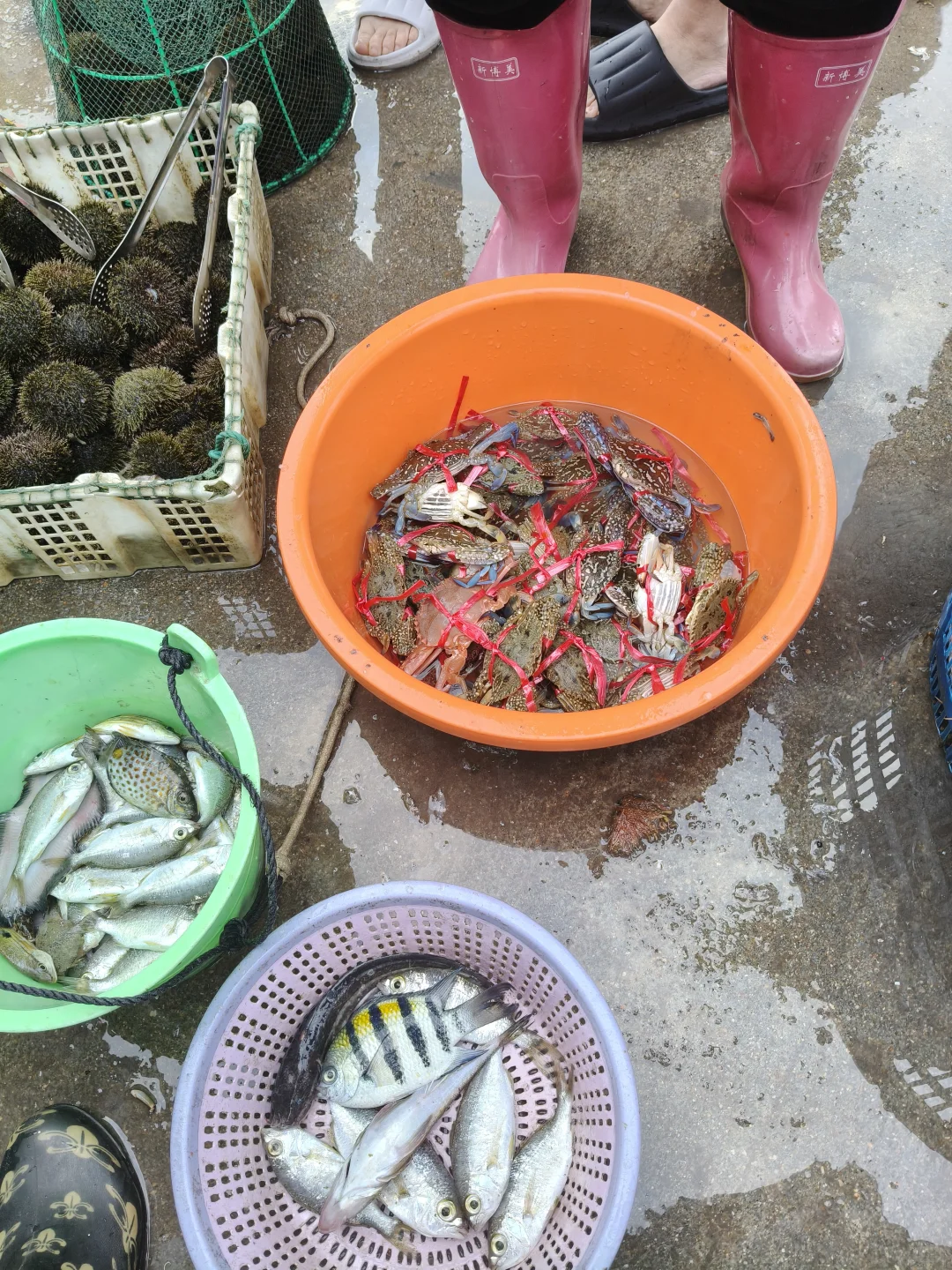 陵水本地人带路！免费代购海鲜+家庭式加工