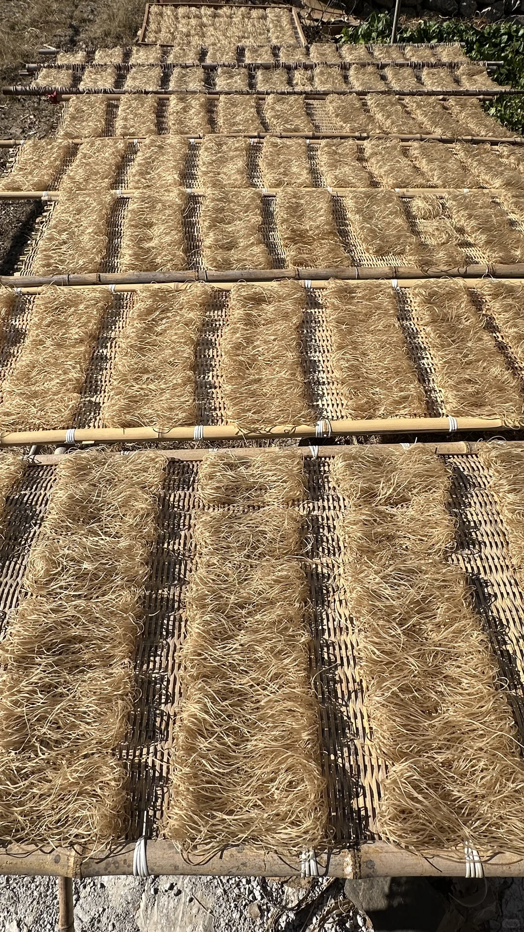 有人需要配料表只有红薯粉的红薯面嘛！