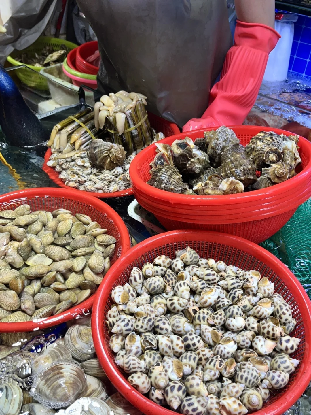 三亚这个菜市场的海鲜也太香了