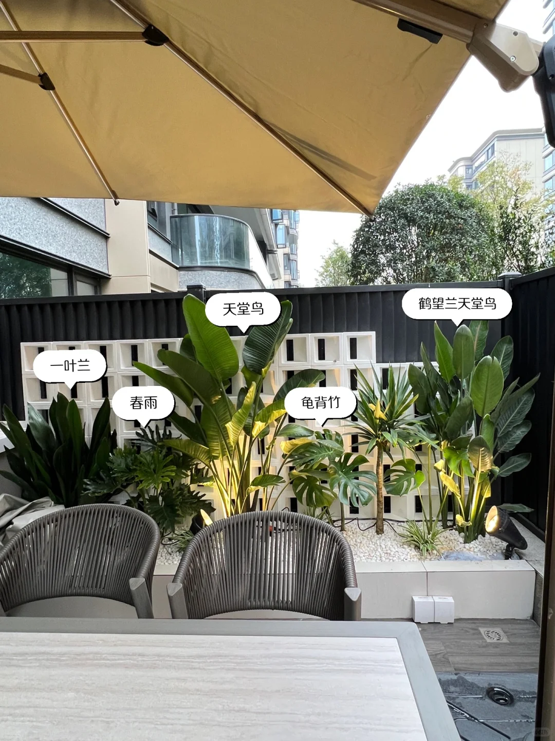 ?花园植物搭配｜普通人自己买植物装的花园