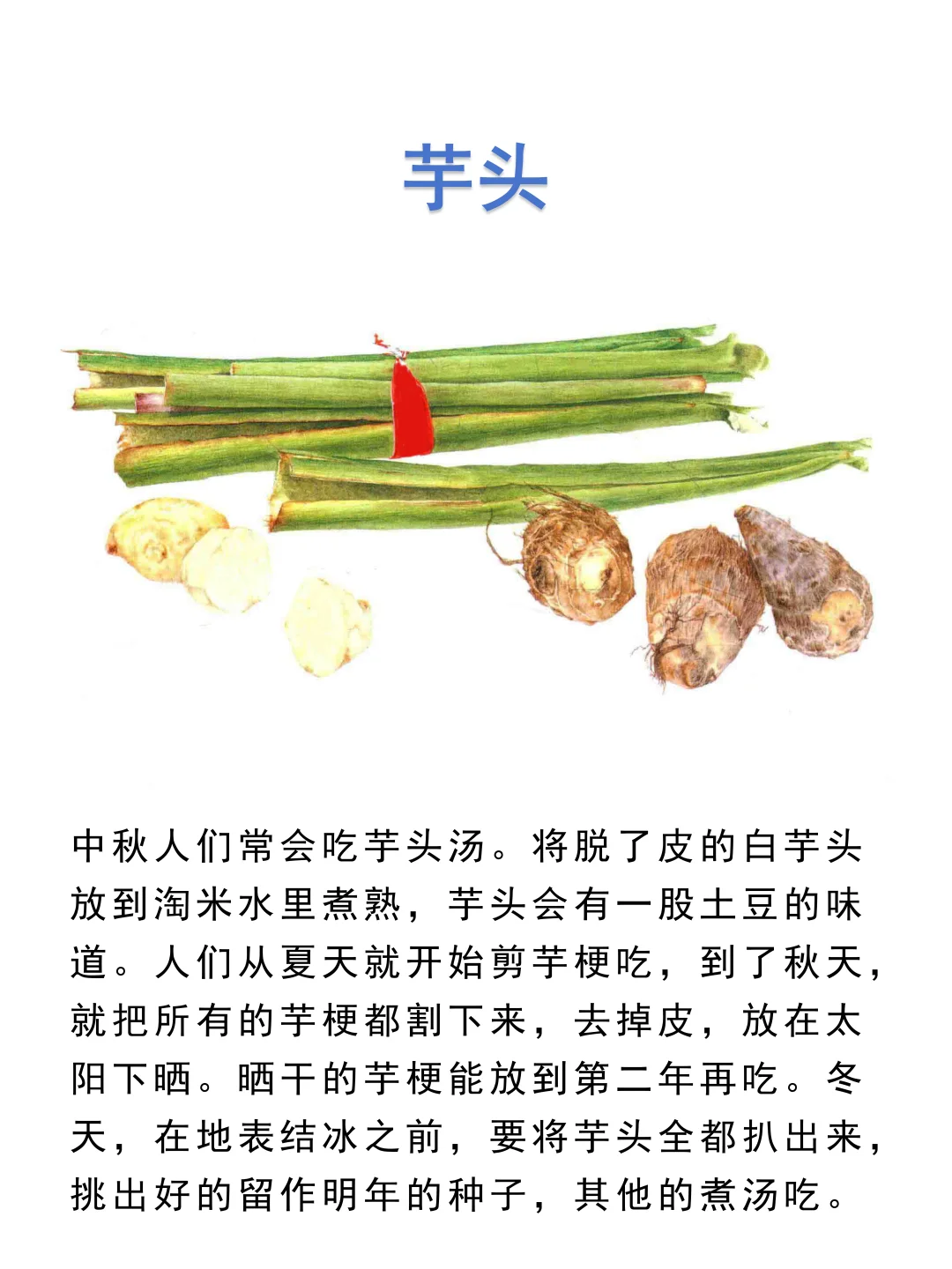 食用叶和茎的蔬菜