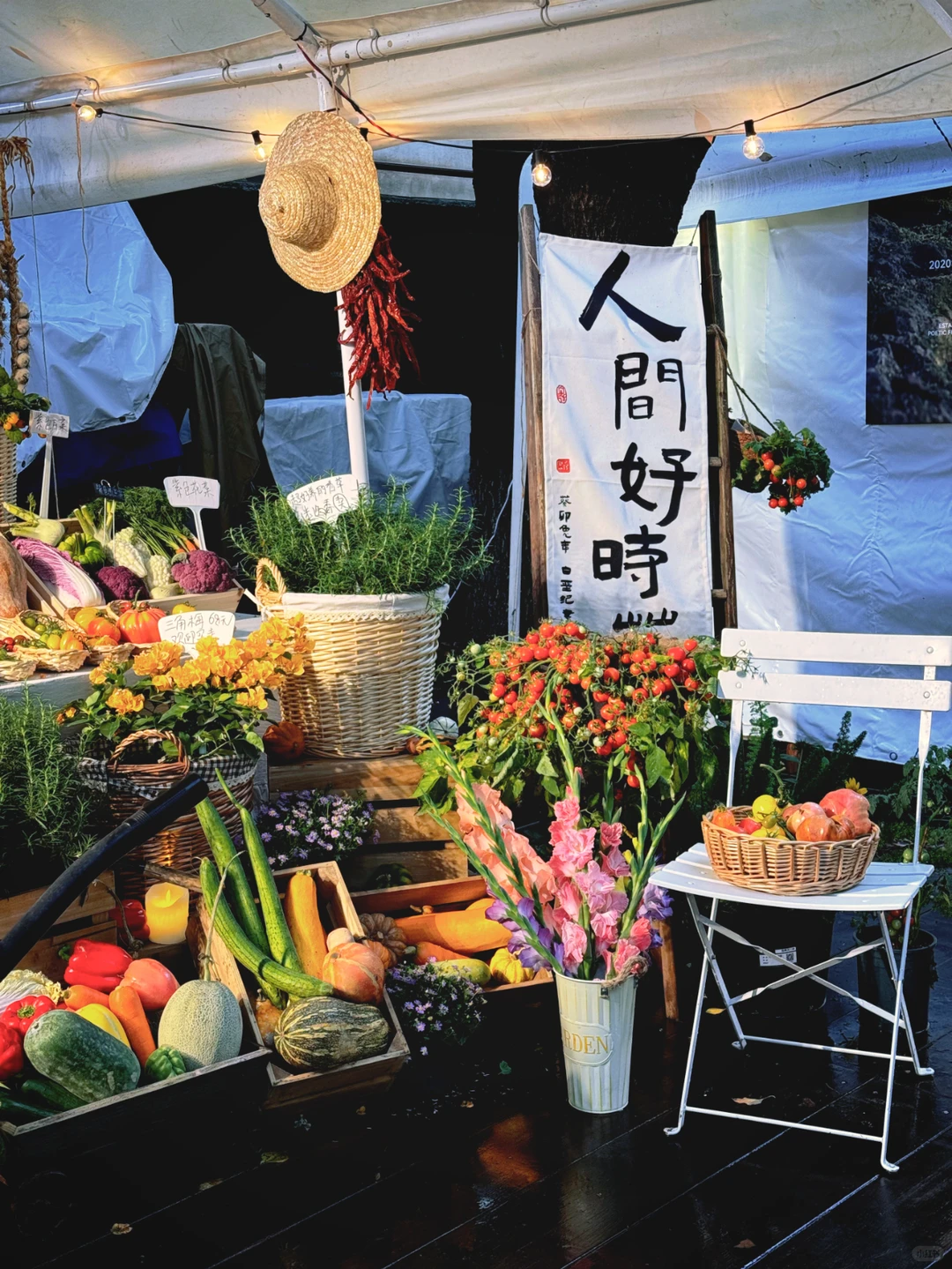 快来找我们玩?苏州本色美术馆