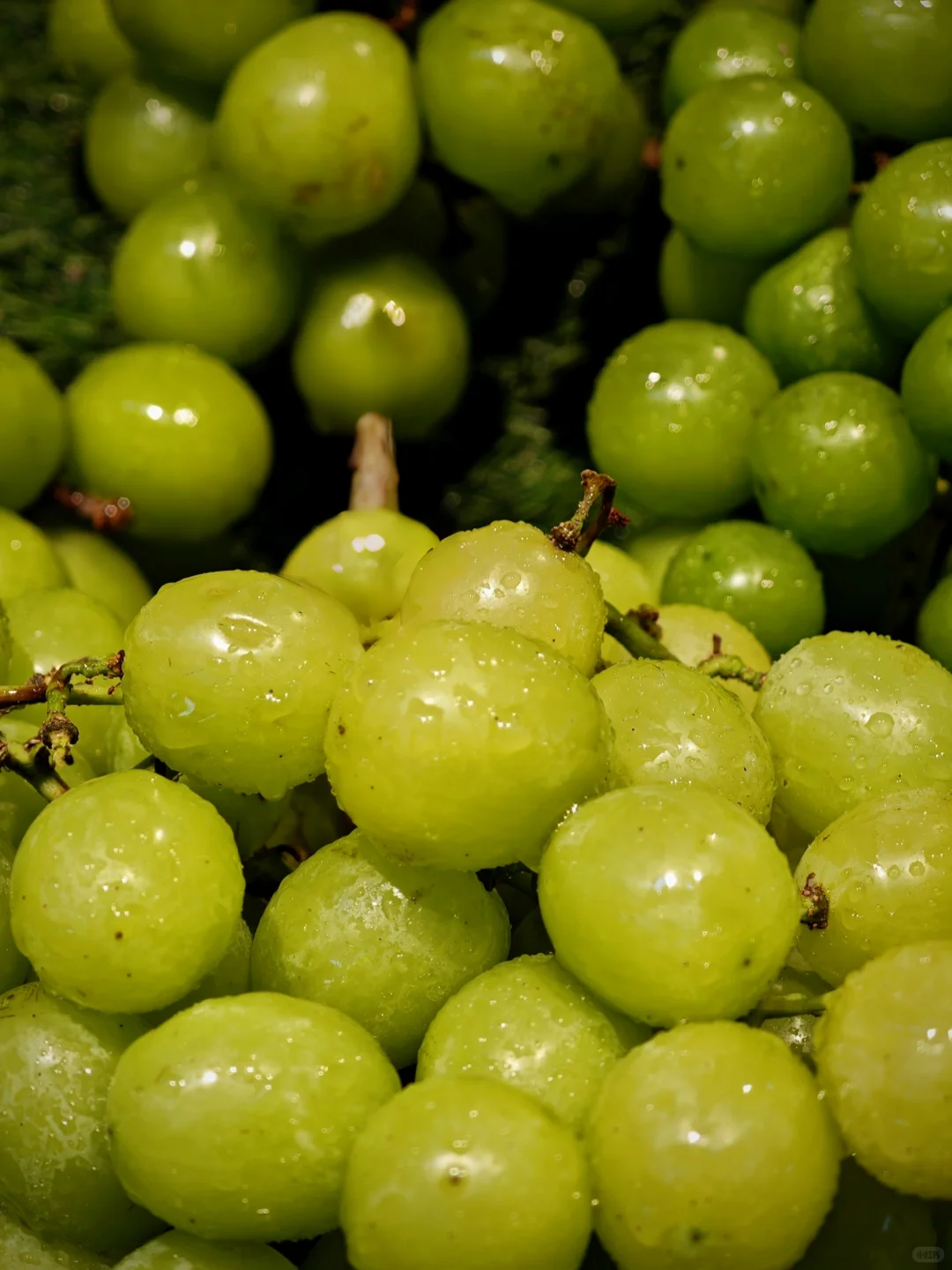 色彩生活｜瞧，超市里的果蔬如此缤纷多彩