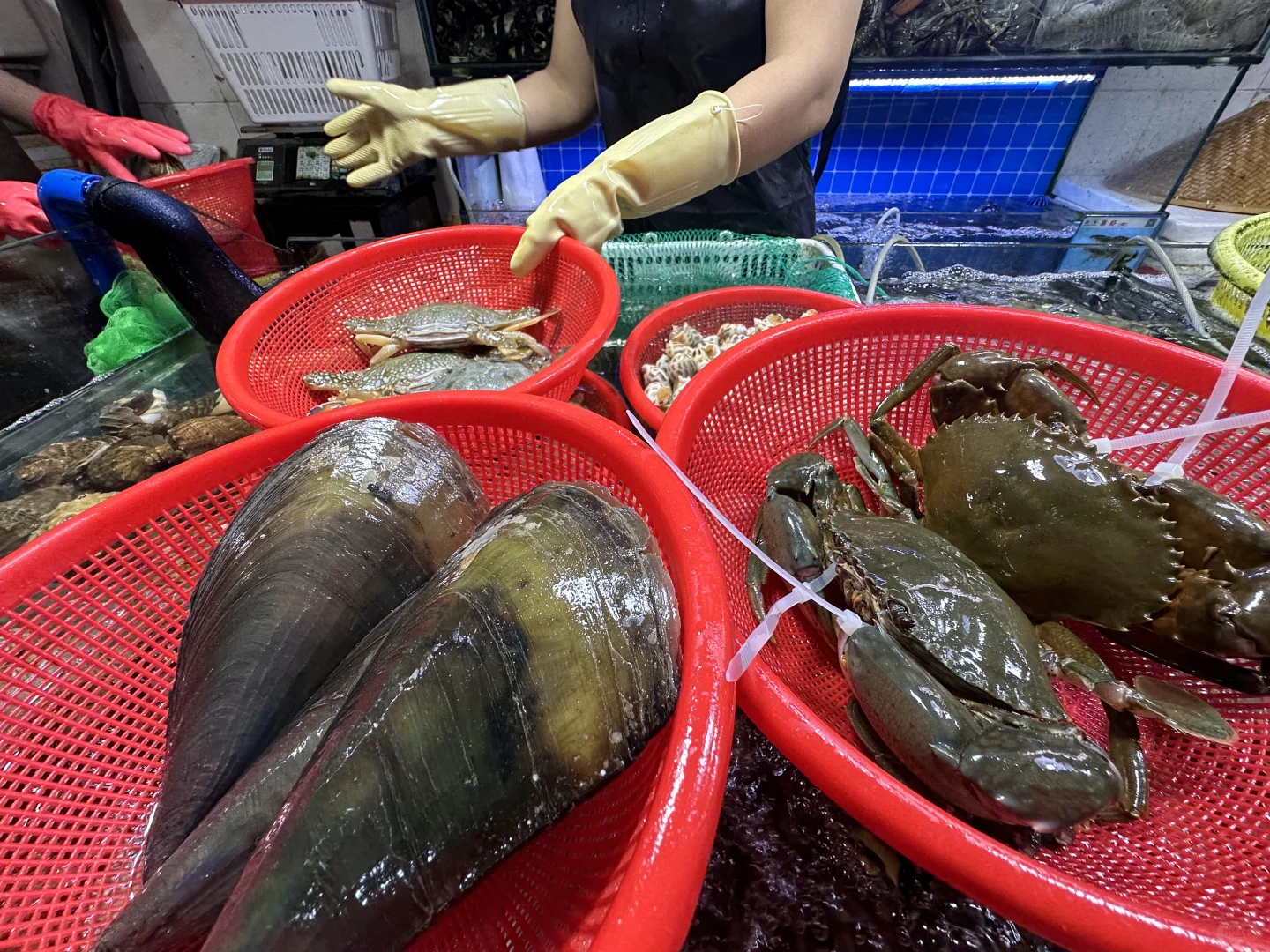 跟着三亚人来的本地市场