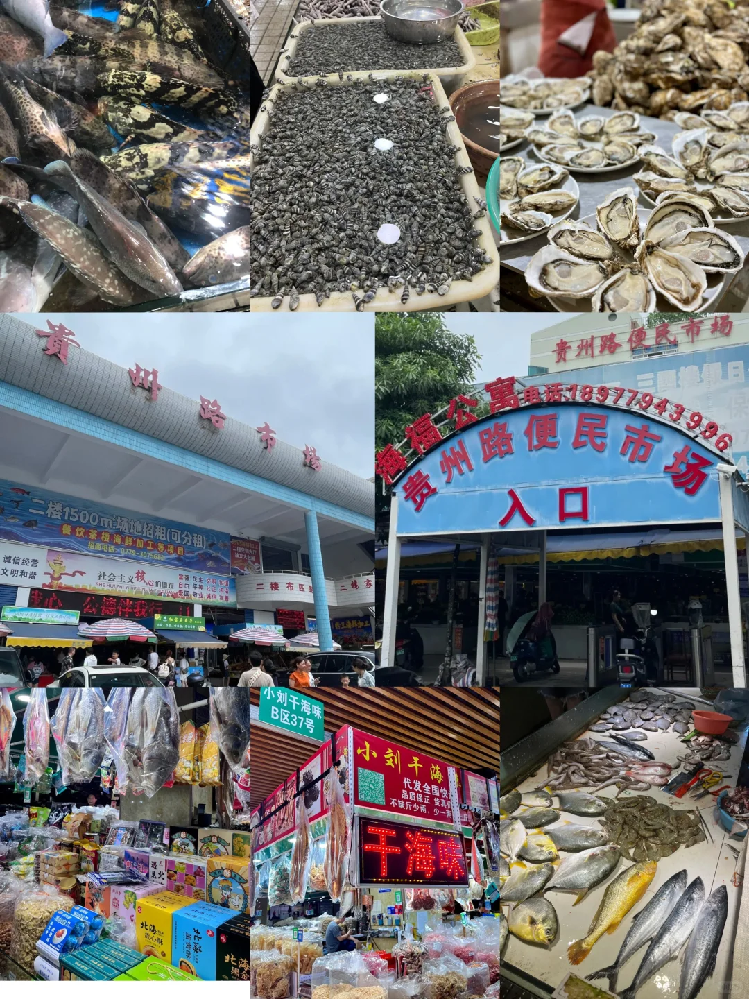 北海｜本地人常去的11大菜市场