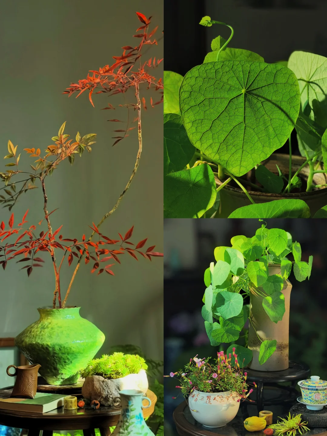 “没有一点点艺术细胞，还真的刷不到我”