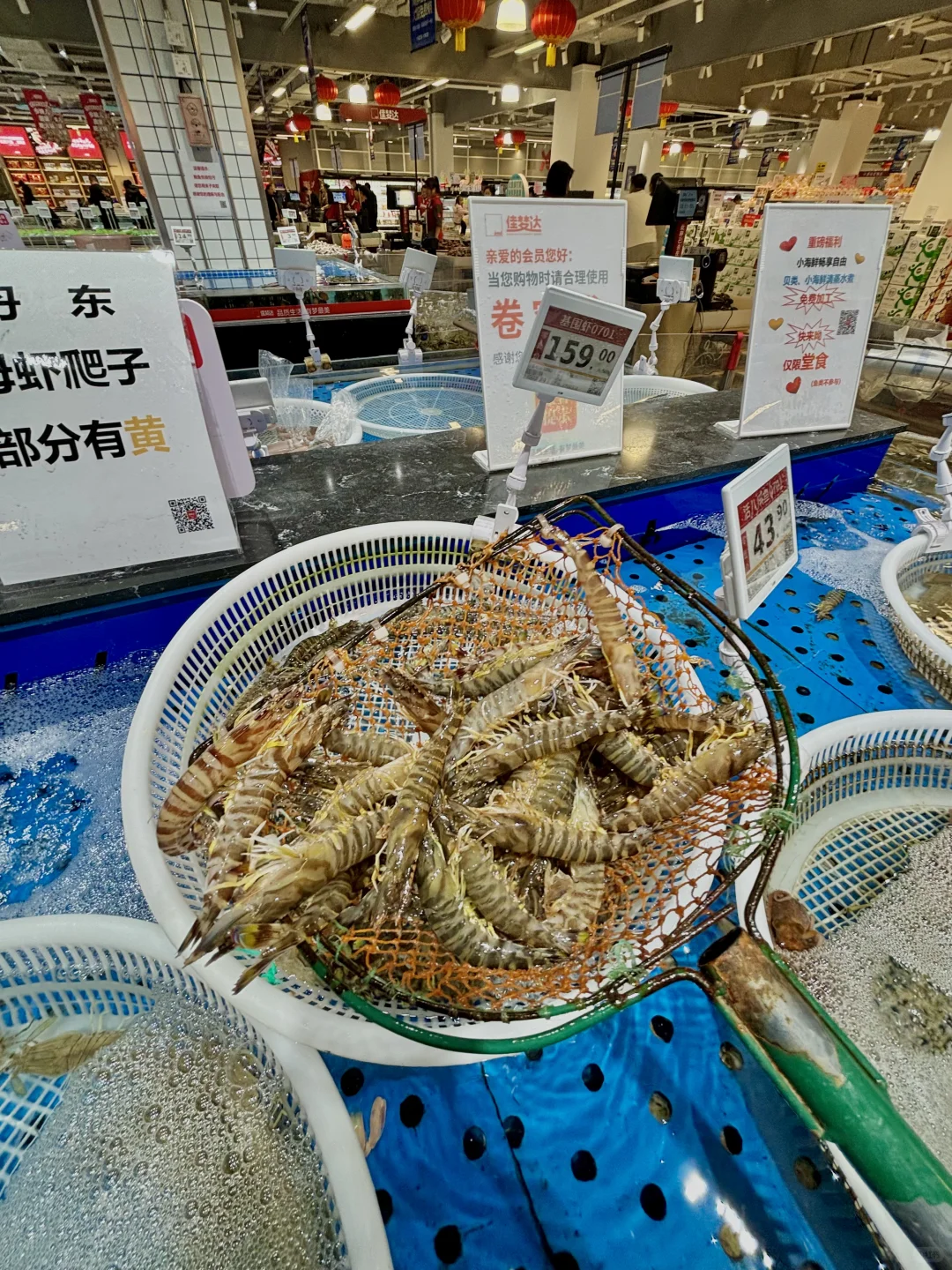 沈阳人速冲！海鲜买完直接免费加工香哭了?