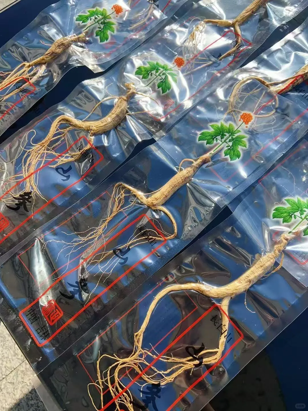 10年林下参20元一根