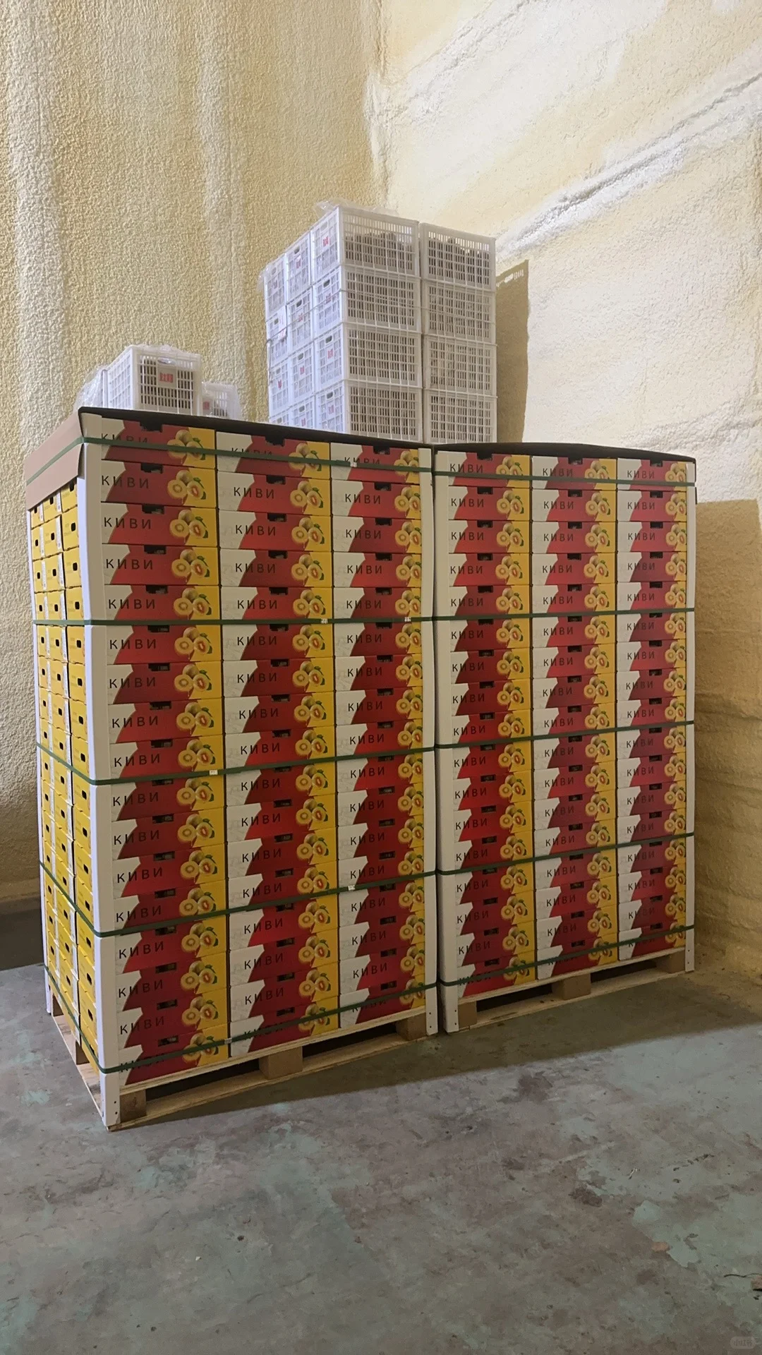 猕猴桃出口加工厂，水果出口