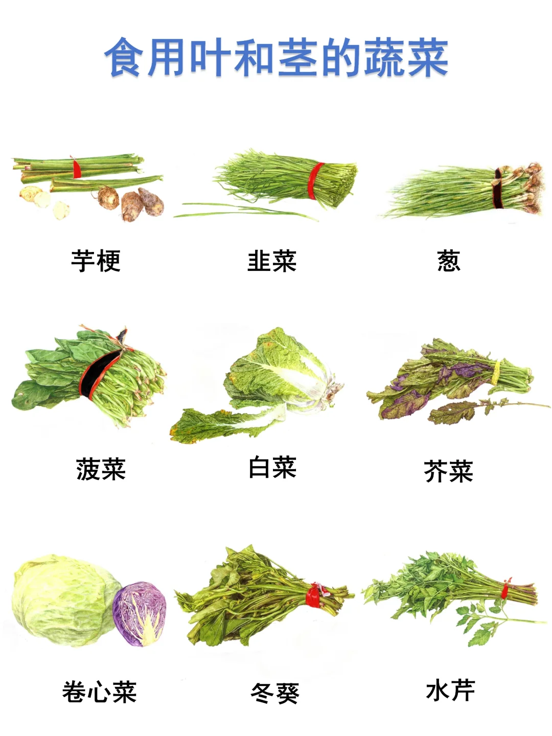 食用叶和茎的蔬菜