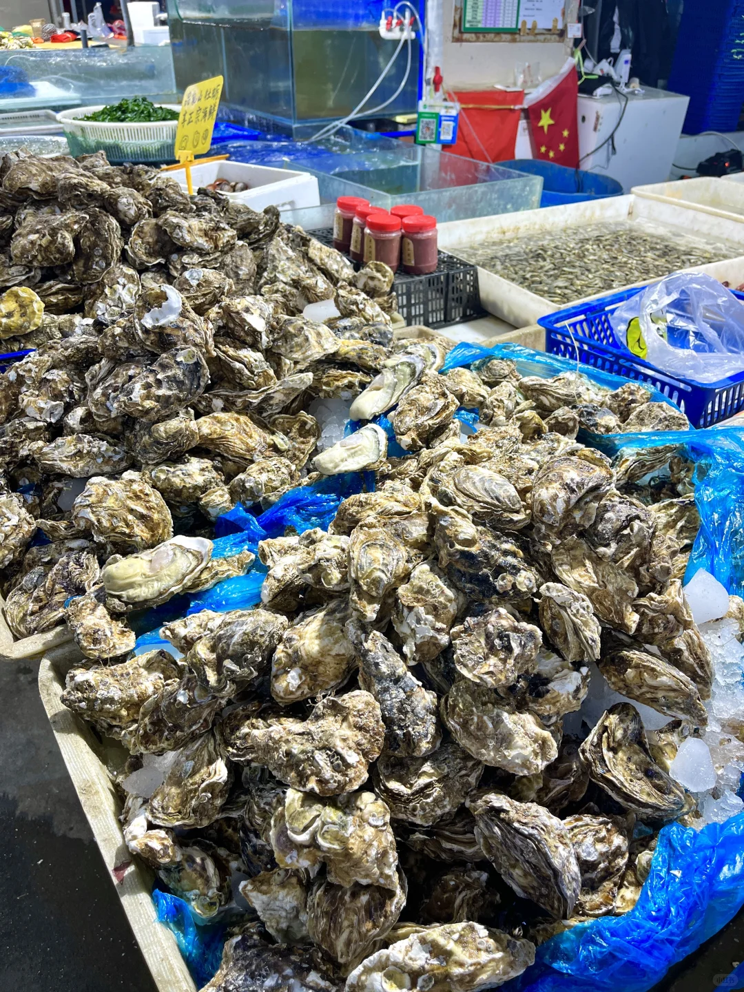 下高铁第一站！直奔这个宝藏市场！！！