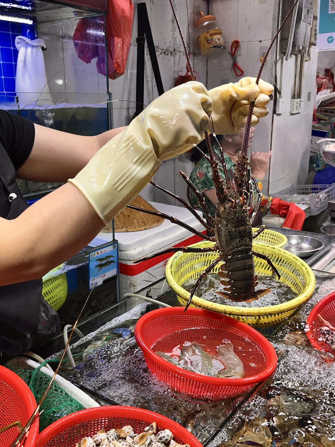 跟着三亚人来的本地市场