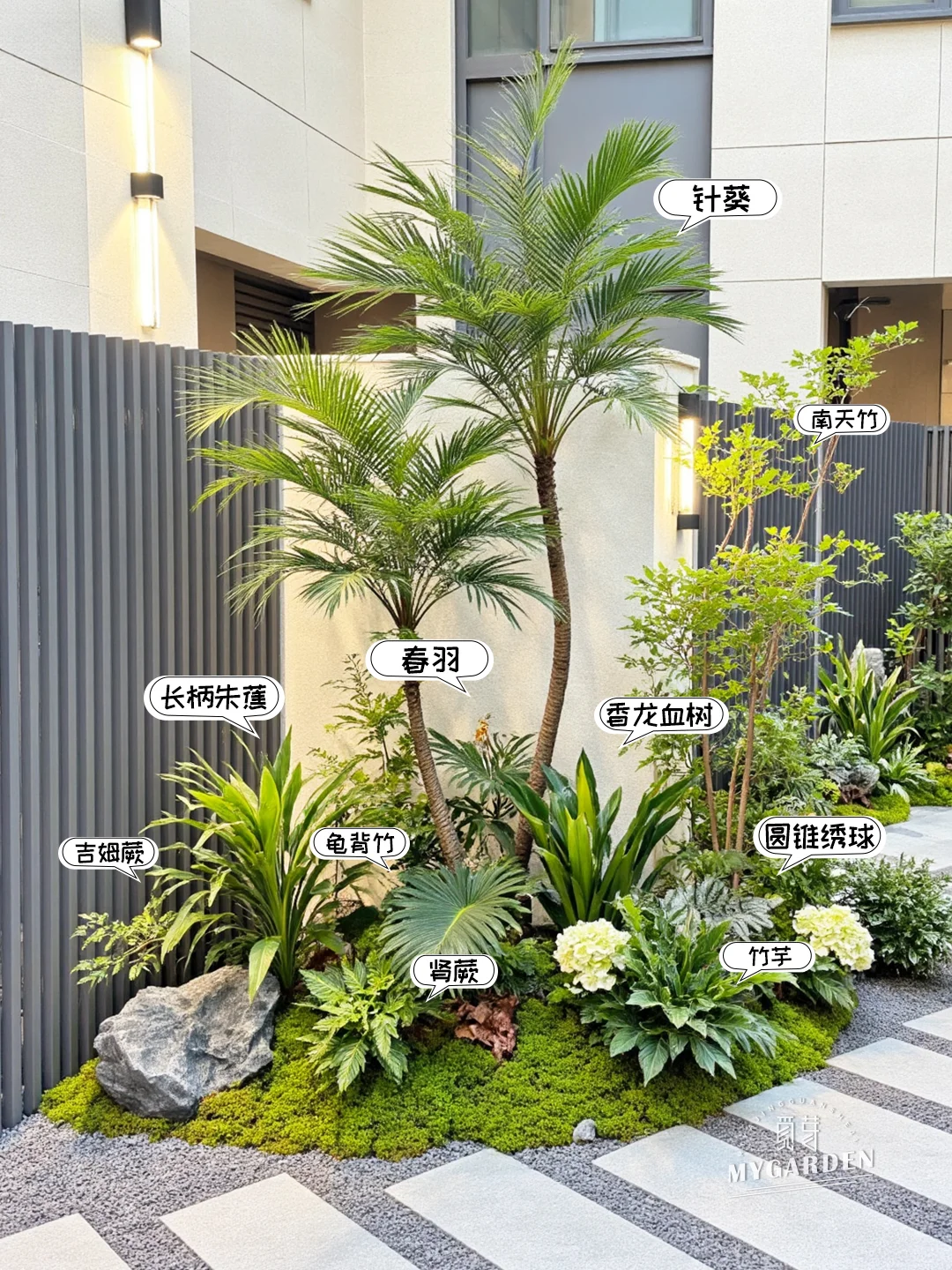 ?花园植物搭配｜超高颜值长效组团花境