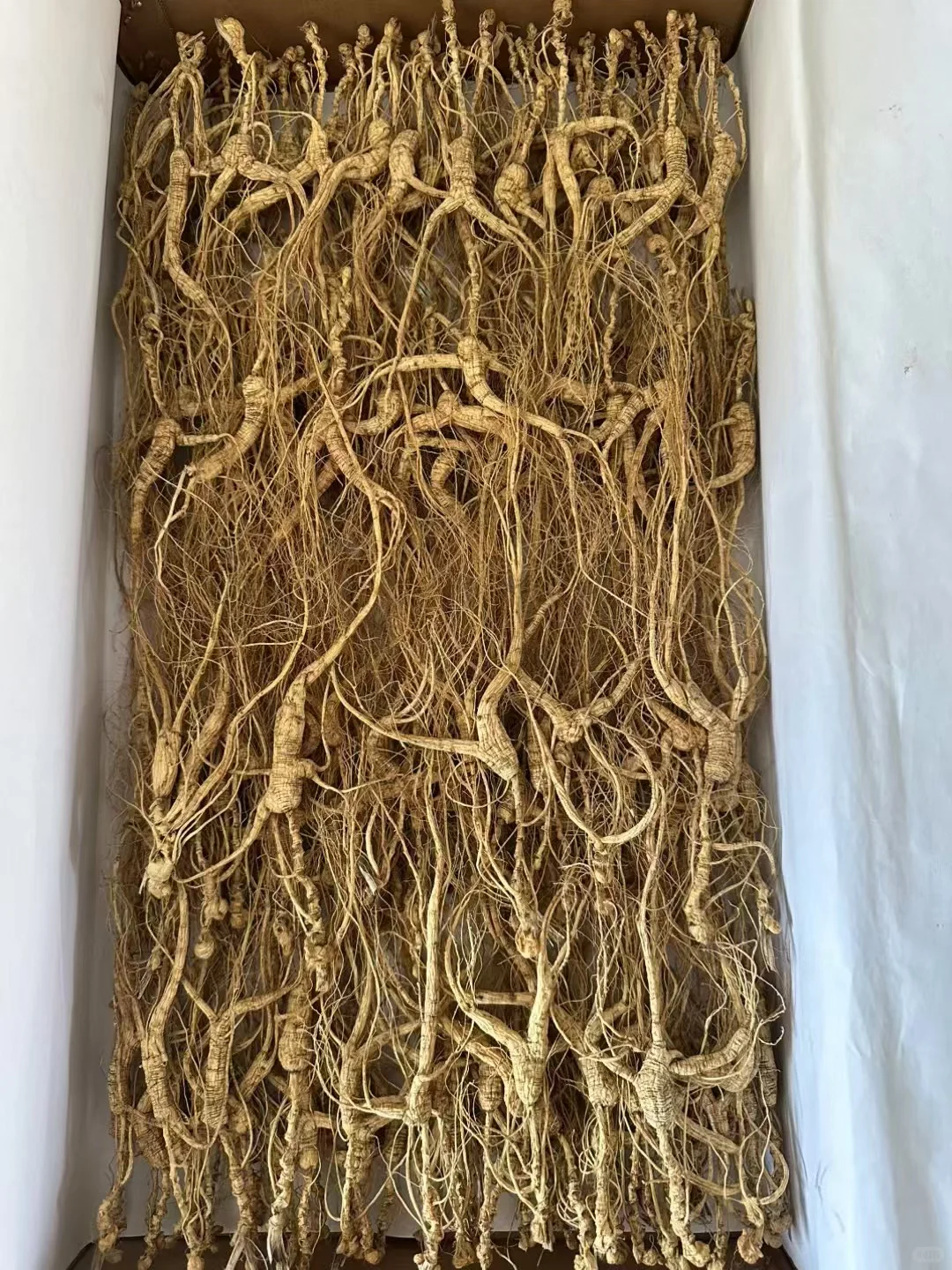 纯林下籽 礼盒。自家种了20年