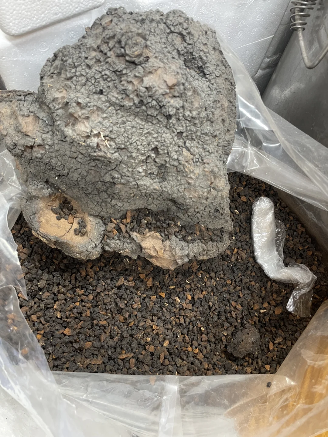 买长白山特产被坑