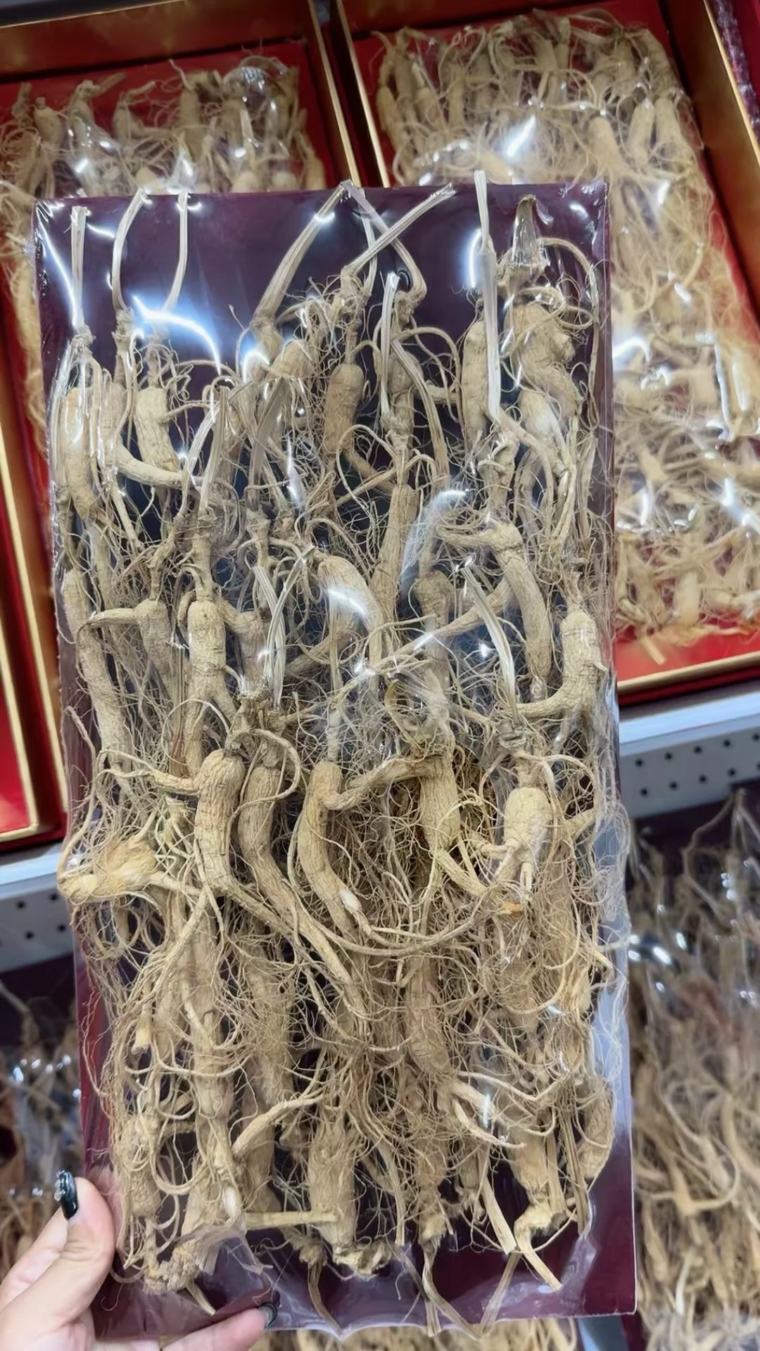 林下参小货，煲汤、泡茶款