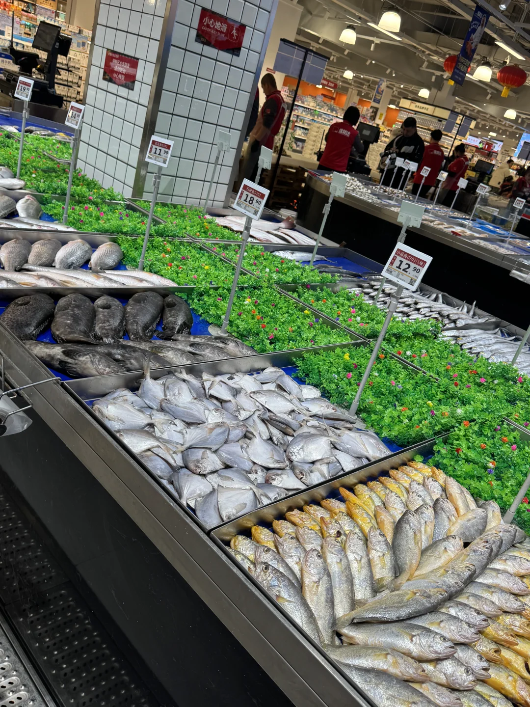 菜市场里的烟火气?