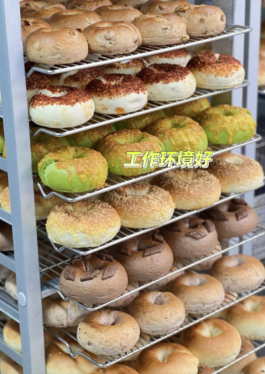 山东本地食品厂招聘