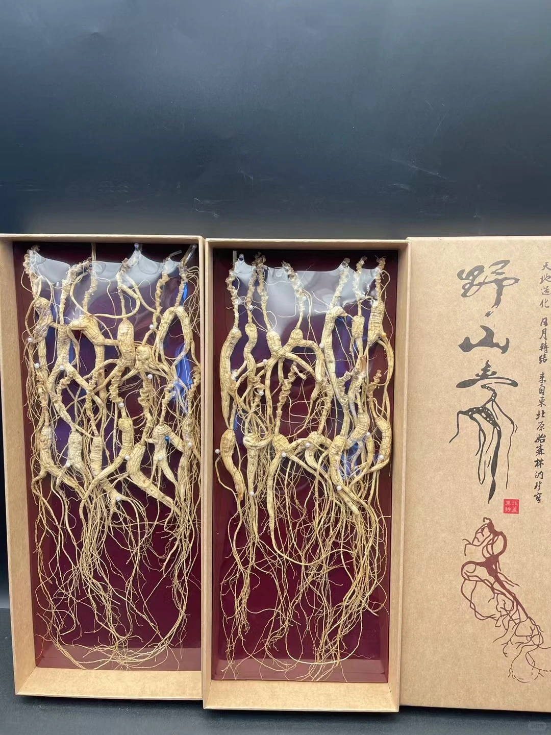 这才是正宗林下参野山参的样子，每一颗都是